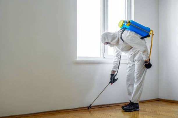 Best Wasp Removal Services  in La Puente, CA